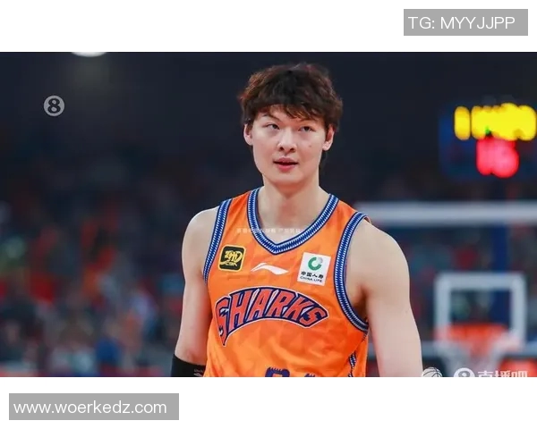 王哲林在CBA赛场的崛起与挑战解析，展望未来篮球生涯的无限可能